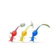 ヒメ日記 2025/08/18 14:40 投稿 しゅうか オレンジハウス