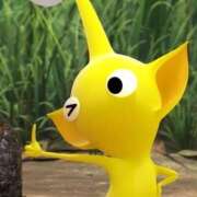 ヒメ日記 2025/08/25 07:10 投稿 しゅうか オレンジハウス