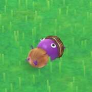 ヒメ日記 2025/09/10 10:50 投稿 しゅうか オレンジハウス