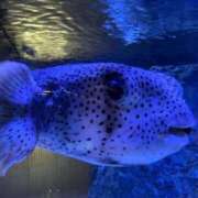 ヒメ日記 2025/07/31 14:45 投稿 みやび S級しろうと娘