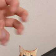 ヒメ日記 2025/11/21 12:06 投稿 小野 熟女の風俗最終章　鶯谷店