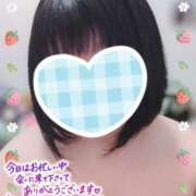 ヒメ日記 2025/04/12 06:12 投稿 おと ちゃんこ藤沢茅ヶ崎店