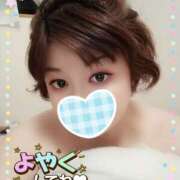 ヒメ日記 2025/04/13 21:32 投稿 おと ちゃんこ藤沢茅ヶ崎店