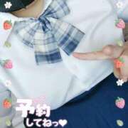 ヒメ日記 2025/05/16 17:13 投稿 おと ちゃんこ藤沢茅ヶ崎店