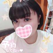 ヒメ日記 2025/08/15 21:02 投稿 おと ちゃんこ藤沢茅ヶ崎店