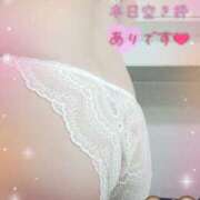 ヒメ日記 2025/10/12 22:32 投稿 おと ちゃんこ藤沢茅ヶ崎店