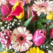 ヒメ日記 2025/03/17 08:02 投稿 ひなた 池袋人妻ヒットパレード（シンデレラグループ）