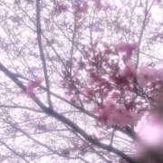 ヒメ日記 2025/03/24 07:46 投稿 ひなた 池袋人妻ヒットパレード（シンデレラグループ）