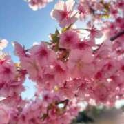 ヒメ日記 2026/03/01 06:32 投稿 ひなた 池袋人妻ヒットパレード（シンデレラグループ）