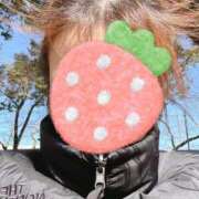 ヒメ日記 2026/03/08 15:52 投稿 ひなた 池袋人妻ヒットパレード（シンデレラグループ）