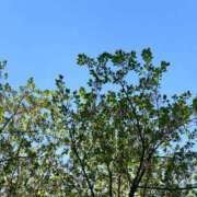 ヒメ日記 2026/04/13 08:27 投稿 ひなた 池袋人妻ヒットパレード（シンデレラグループ）