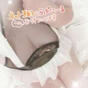 ヒメ日記 2026/01/29 22:18 投稿 波多野(はたの) 相模原人妻城