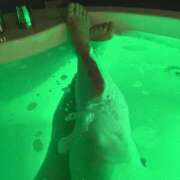 ヒメ日記 2026/04/12 22:27 投稿 波多野(はたの) 相模原人妻城