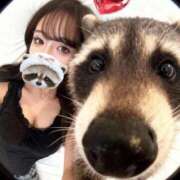 御狐神ひかる 🐻🫧 LUXE(リュクス)