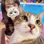 御狐神ひかる 🐱🏖️ LUXE(リュクス)