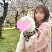 ひな ついつい₍ᐢ.ˬ.ᐢ₎ ViVi-ヴィヴィ-(金津園)