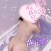 ヒメ日記 2026/06/01 08:49 投稿 新井　りま OLピンクコレクション