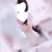 ヒメ日記 2025/08/19 14:00 投稿 ねね オレンジハウス