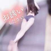 ヒメ日記 2025/09/14 14:30 投稿 ねね オレンジハウス