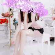 ヒメ日記 2025/11/29 14:07 投稿 ねね オレンジハウス