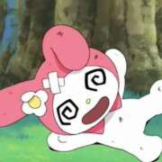 ヒメ日記 2025/11/12 17:30 投稿 ひな オレンジハウス