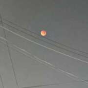 ヒメ日記 2025/09/17 11:36 投稿 ふゆ オレンジハウス