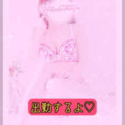 ヒメ日記 2025/04/09 08:01 投稿 かな 藤沢人妻城