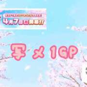 ヒメ日記 2025/04/13 08:06 投稿 ゆうか Fairy～フェアリー～(神栖)