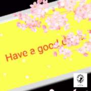 ヒメ日記 2025/04/14 06:12 投稿 ゆうか Fairy~フェアリー~(神栖)