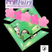 ヒメ日記 2025/04/16 07:21 投稿 ゆうか Fairy~フェアリー~(神栖)