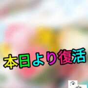 ヒメ日記 2025/04/27 05:59 投稿 ゆうか Fairy~フェアリー~(神栖)