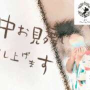 ヒメ日記 2025/07/19 07:29 投稿 ゆうか Fairy~フェアリー~(神栖)