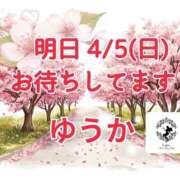ヒメ日記 2026/04/04 06:06 投稿 ゆうか Fairy～フェアリー～(神栖)
