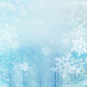 ヒメ日記 2025/12/30 19:08 投稿 あやか Fairy～フェアリー～(神栖)