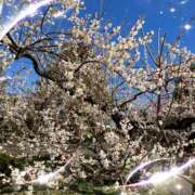 ヒメ日記 2025/02/28 09:19 投稿 まみ 完熟ばなな川崎