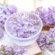 ヒメ日記 2026/01/15 19:46 投稿 あまね 小田原人妻城