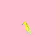 ヒメ日記 2025/02/28 15:09 投稿 かりん 札幌しこたまクリニック