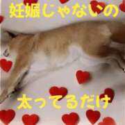 ヒメ日記 2025/01/17 22:43 投稿 森崎 沙奈 30代40代50代と遊ぶなら博多人妻専科24時