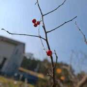 ヒメ日記 2025/01/22 22:08 投稿 森崎 沙奈 30代40代50代と遊ぶなら博多人妻専科24時