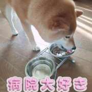 ヒメ日記 2025/01/30 11:29 投稿 森崎 沙奈 30代40代50代と遊ぶなら博多人妻専科24時