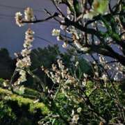 ヒメ日記 2025/03/12 20:31 投稿 森崎 沙奈 30代40代50代と遊ぶなら博多人妻専科24時