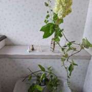 ヒメ日記 2025/05/28 13:33 投稿 森崎 沙奈 30代40代50代と遊ぶなら博多人妻専科24時