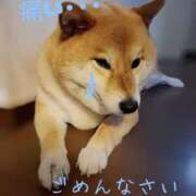 ヒメ日記 2025/05/29 08:54 投稿 森崎 沙奈 30代40代50代と遊ぶなら博多人妻専科24時