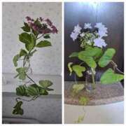 ヒメ日記 2025/06/04 22:00 投稿 森崎 沙奈 30代40代50代と遊ぶなら博多人妻専科24時