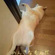 ヒメ日記 2025/06/10 13:47 投稿 森崎 沙奈 30代40代50代と遊ぶなら博多人妻専科24時