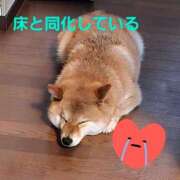 ヒメ日記 2025/07/23 11:40 投稿 森崎 沙奈 30代40代50代と遊ぶなら博多人妻専科24時