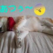 ヒメ日記 2025/07/24 22:56 投稿 森崎 沙奈 30代40代50代と遊ぶなら博多人妻専科24時