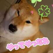 ヒメ日記 2025/08/20 10:06 投稿 森崎 沙奈 30代40代50代と遊ぶなら博多人妻専科24時