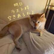 ヒメ日記 2025/09/14 21:24 投稿 森崎 沙奈 30代40代50代と遊ぶなら博多人妻専科24時