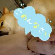 ヒメ日記 2025/10/17 09:23 投稿 森崎 沙奈 30代40代50代と遊ぶなら博多人妻専科24時